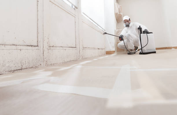 24/7 Emergency Attic Mold Remediation experts in Wycombe, PA